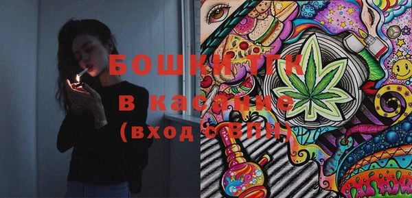 крисы Абаза