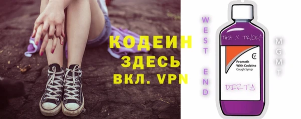 крисы Абаза