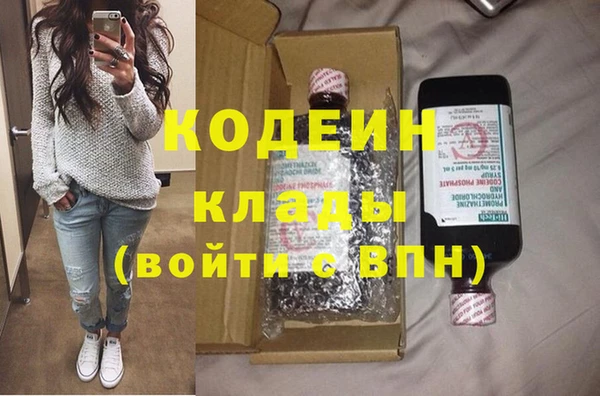 крисы Абаза