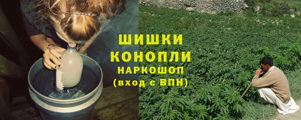крисы Абаза