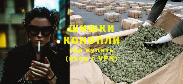 крисы Абаза
