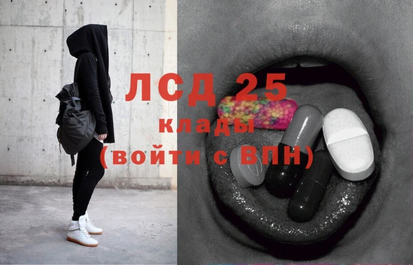крисы Абаза