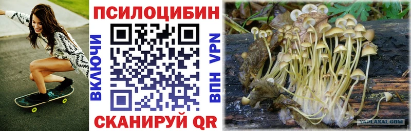 Псилоцибиновые грибы мицелий  Суоярви 